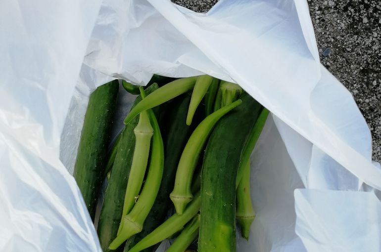 夏野菜